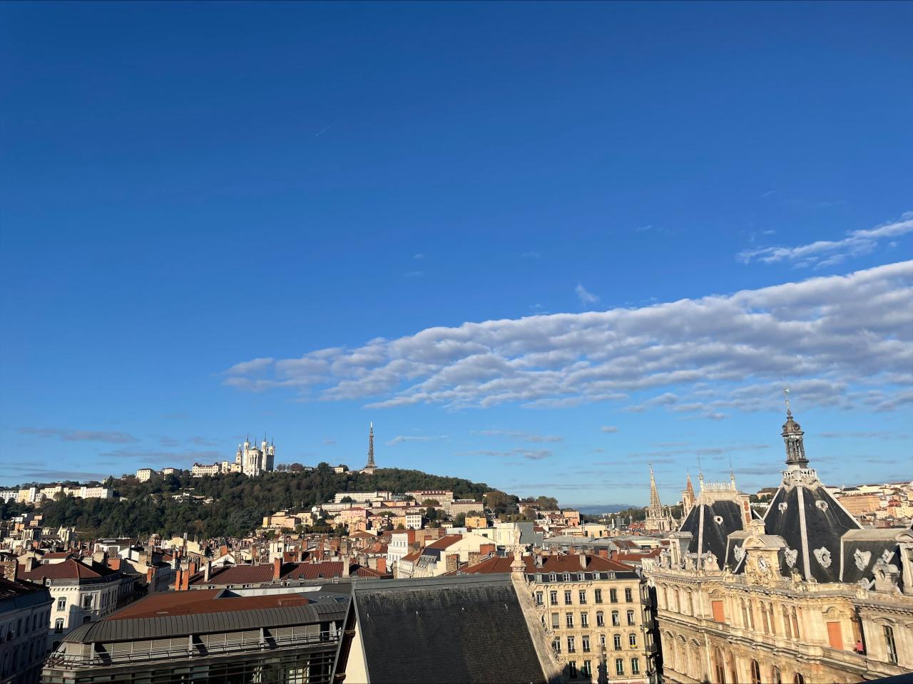 Location bureau Lyon Rhône OLBUR2311050 11