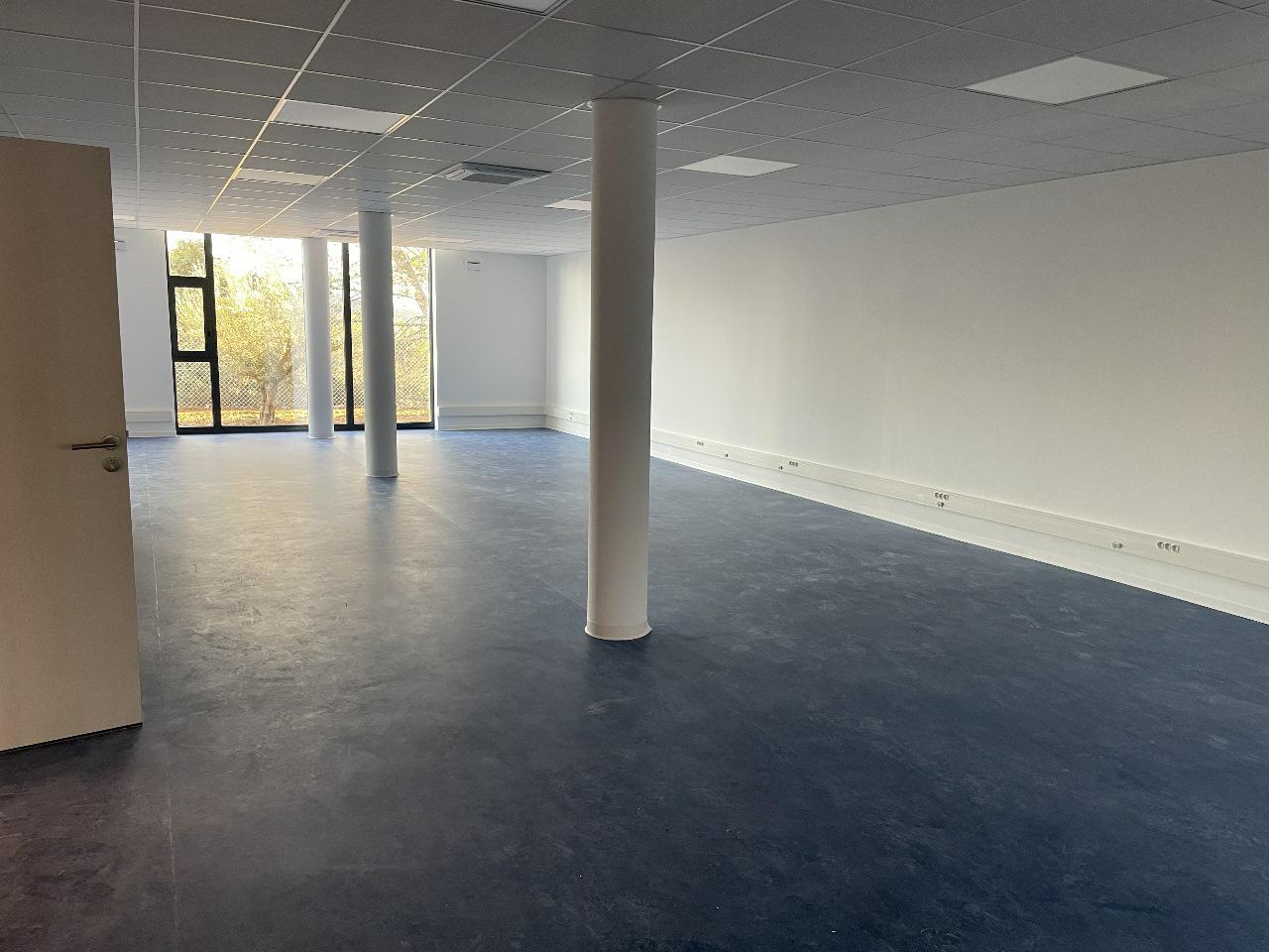 Location bureau Saint-Clément-de-Rivière Hérault OLBUR2309620 14