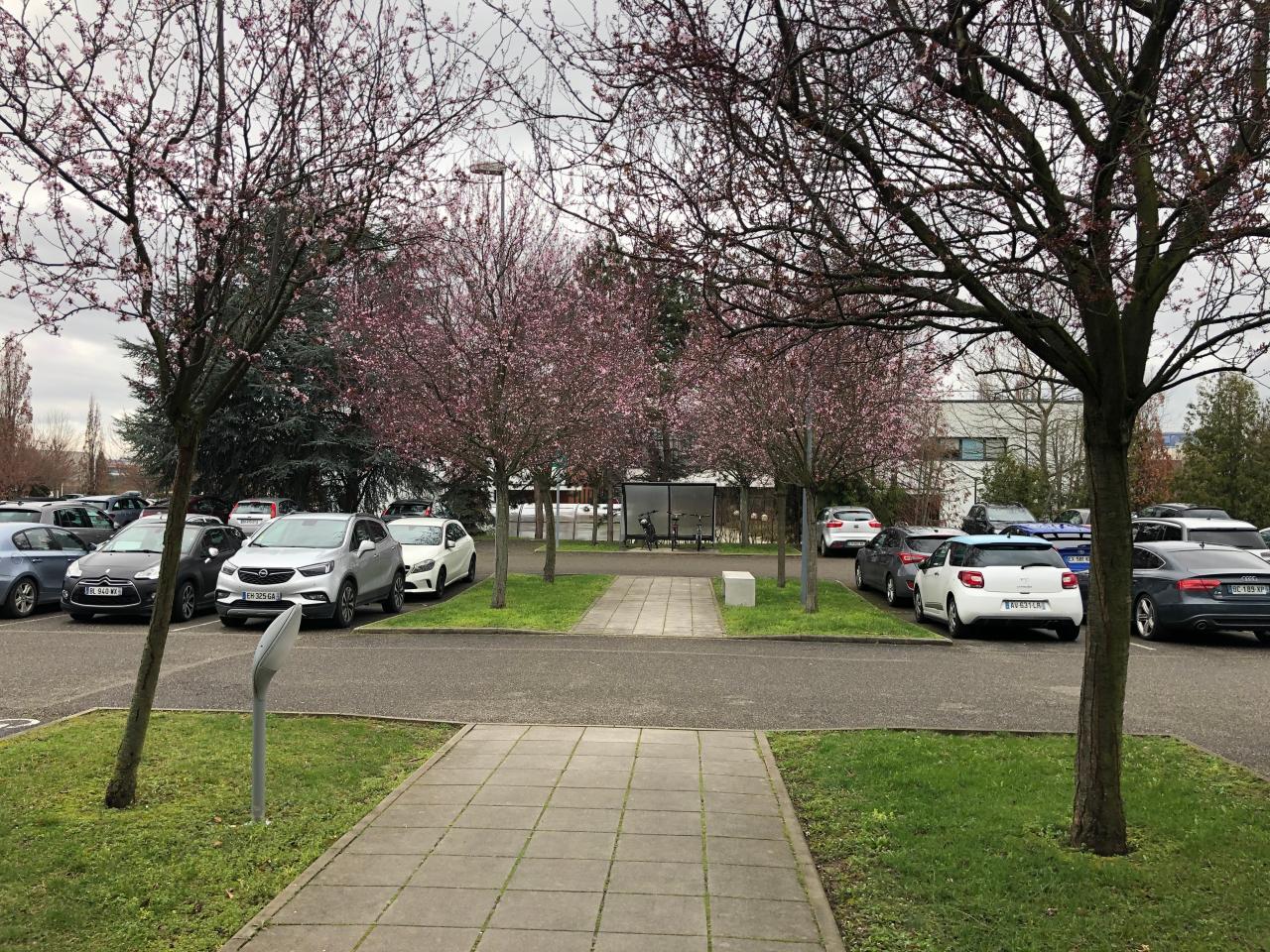Location bureau Schiltigheim Bas-Rhin OLBUR2534386 7