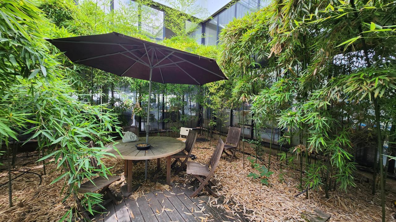 Vente local d'activité Champigny-sur-Marne Val-de-Marne OVACT2533676 7