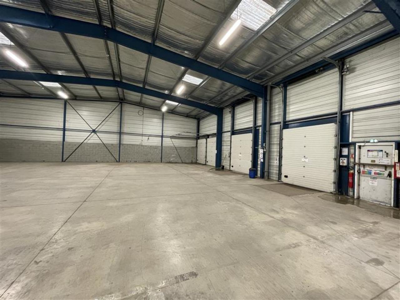 Location local d'activité Saint-Thibéry Hérault OLACT2646232 13