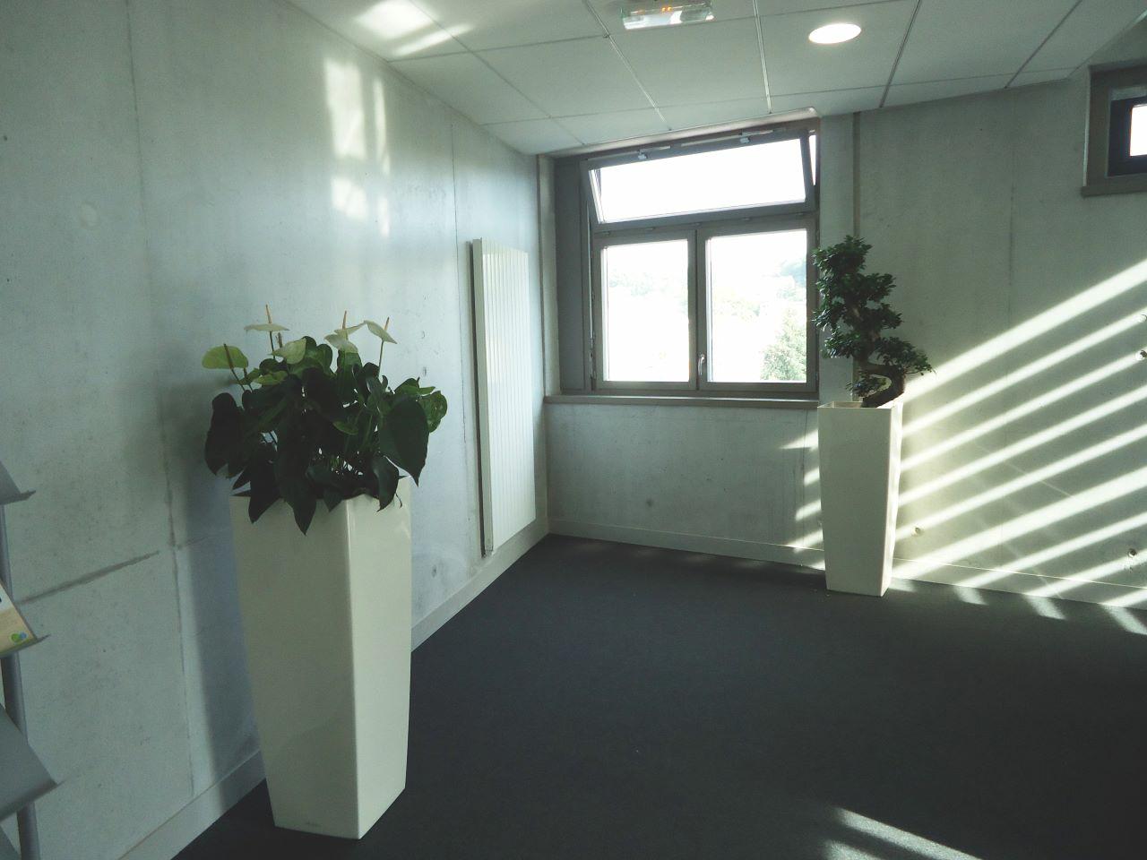 Location bureau Lyon Rhône OLBUR2108869 10