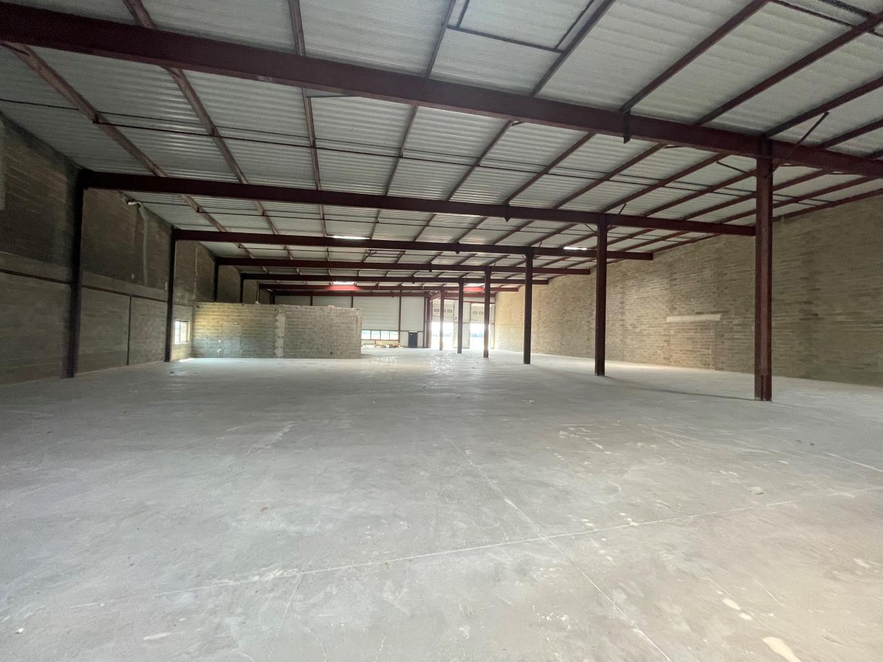 Vente local d'activité Fegersheim Bas-Rhin OVACT2309083 5