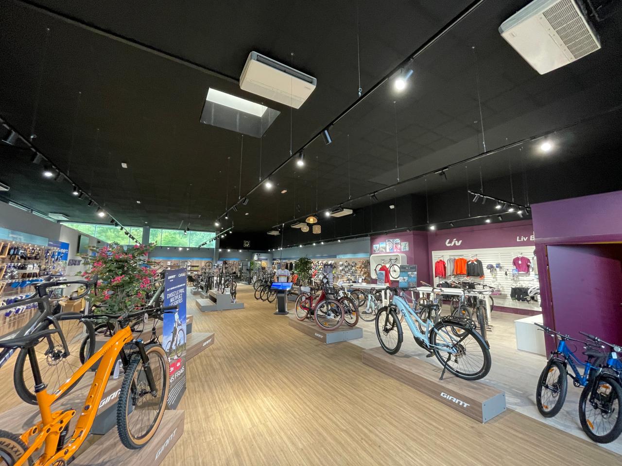 Location local d'activité Toulouse Haute-Garonne OLACT2645793 3