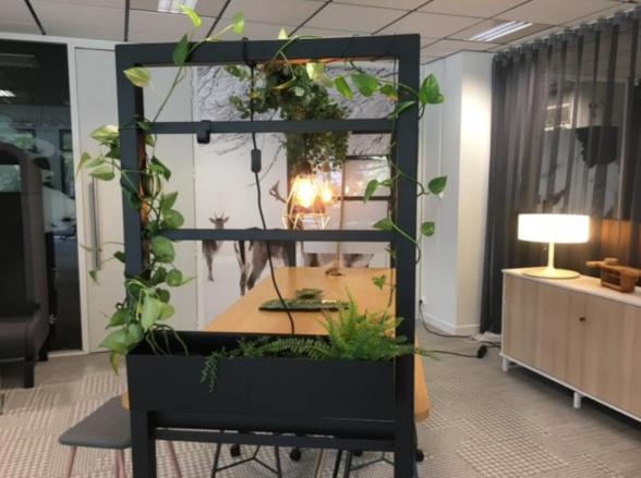 Location bureau Lyon Rhône OLBUR2641190 7