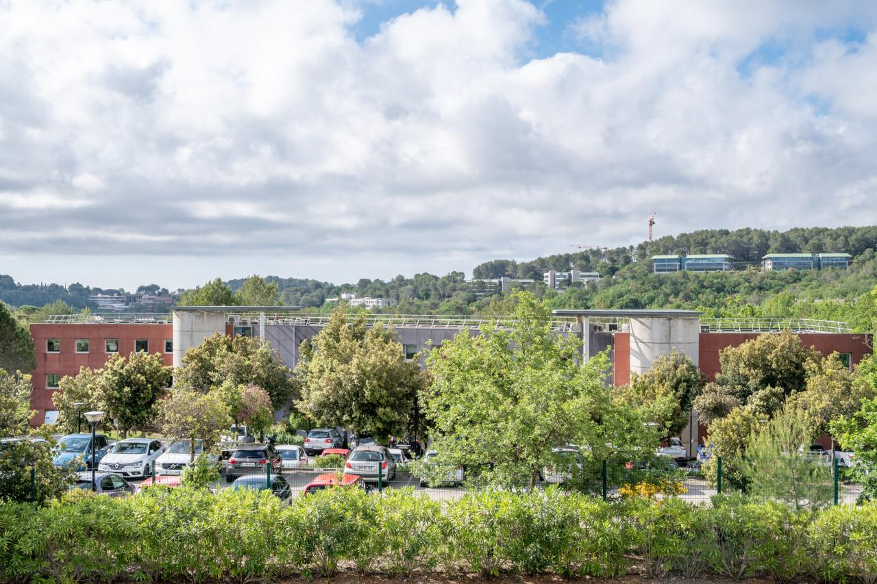 Vente bureau Sophia Antipolis Alpes-Maritimes OVBUR2640840 6