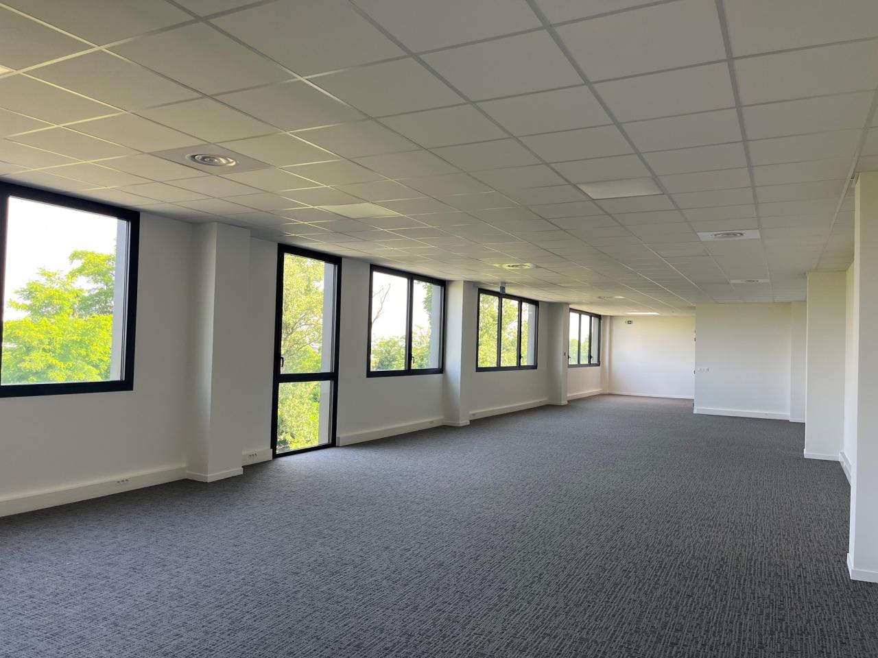 Location local d'activité Saint-Priest Rhône OLACT2309273 25