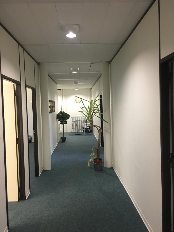 Location bureau Eckbolsheim Bas-Rhin OLBUR2110827 10