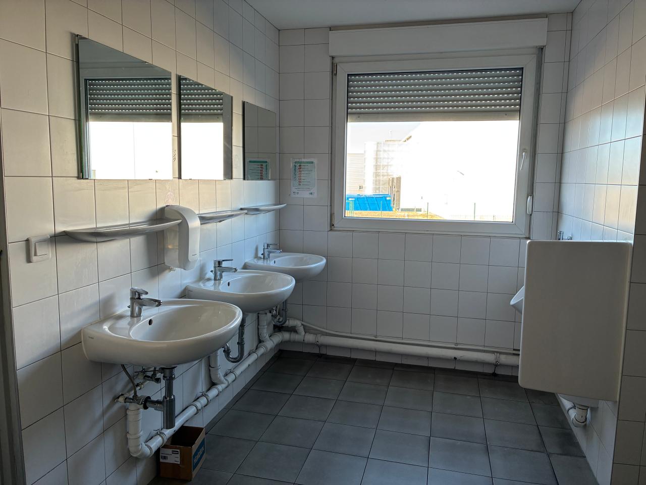 Location local d'activité Weyersheim Bas-Rhin OLACT2645366 16