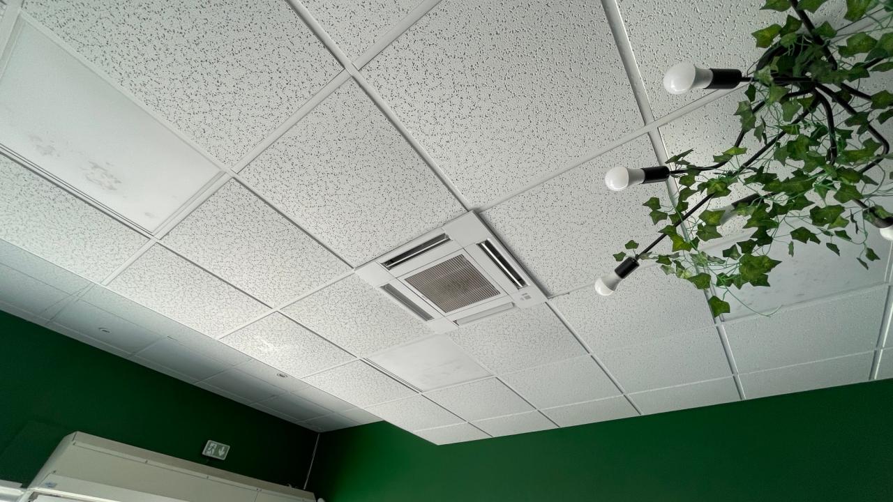 Location local d'activité Nancy Meurthe-et-Moselle OLACT2643577 4