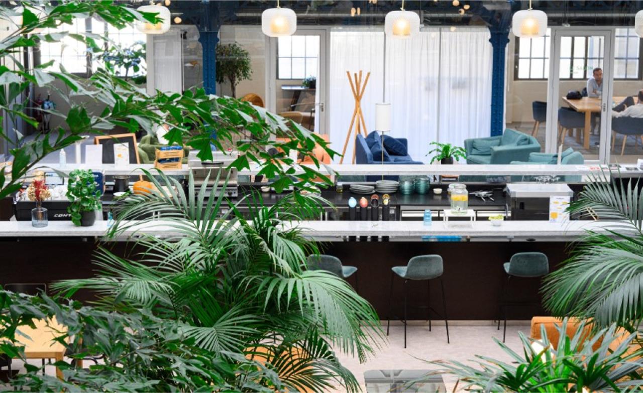 Location coworking Bordeaux Gironde OLBUR2112017 6