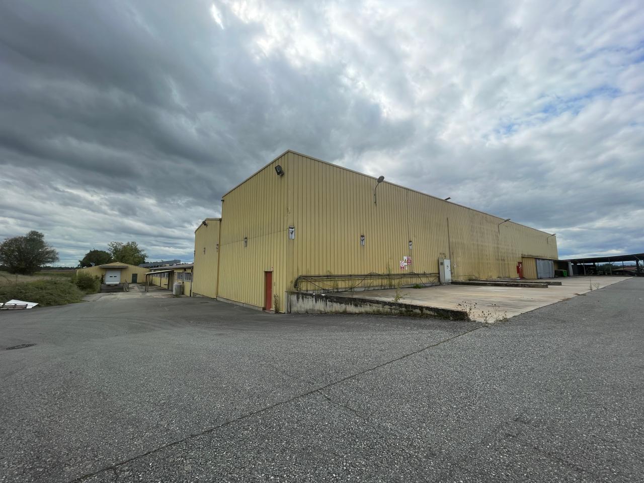 Vente local d'activité Saint-Trivier-sur-Moignans Ain OVACT2534885 8