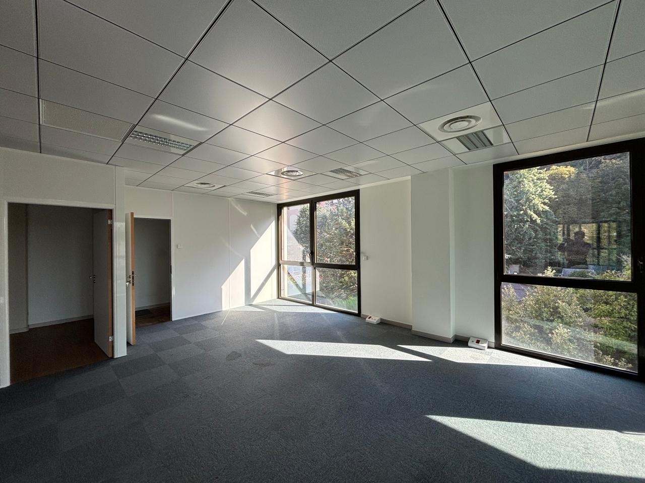 Location bureau Lyon Rhône OLBUR2420344 14