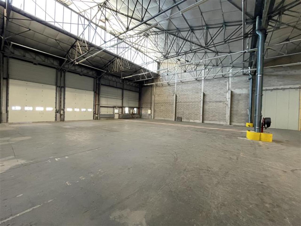 Location local d'activité Nîmes Gard OLACT2423791 11