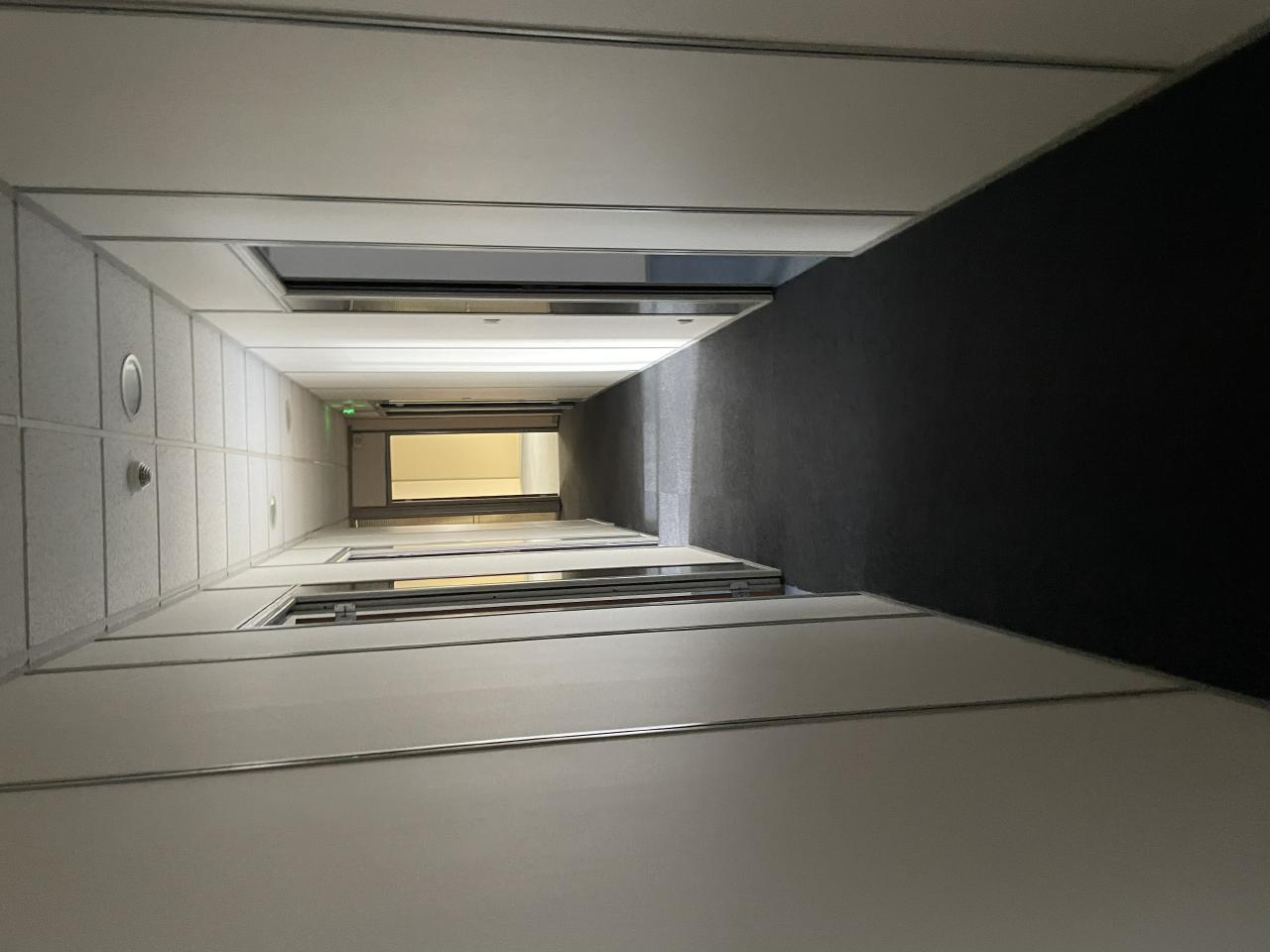 Location local d'activité Décines-Charpieu Rhône OLACT2313321 11