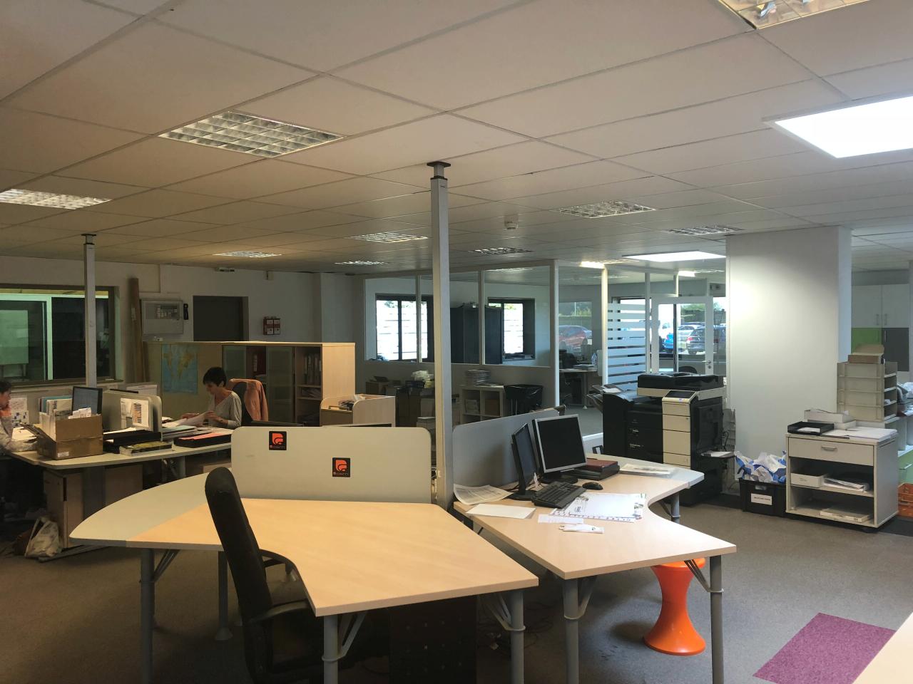 Location local d'activité Saint-André-de-Corcy Ain OLACT2528965 11