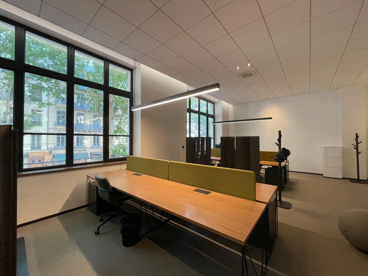 Location bureau Lyon Rhône OLBUR2533126 12