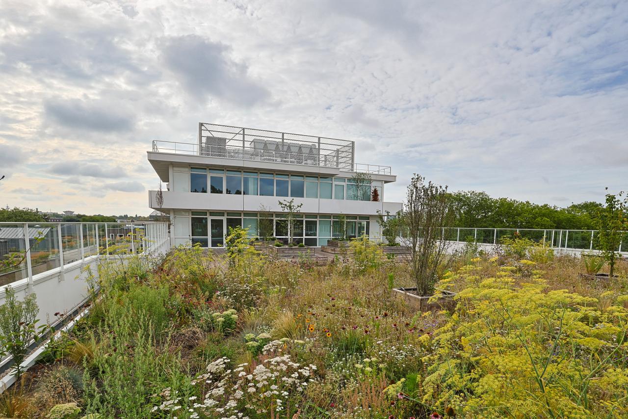 Location bureau La Madeleine Nord OLBUR2114090 12