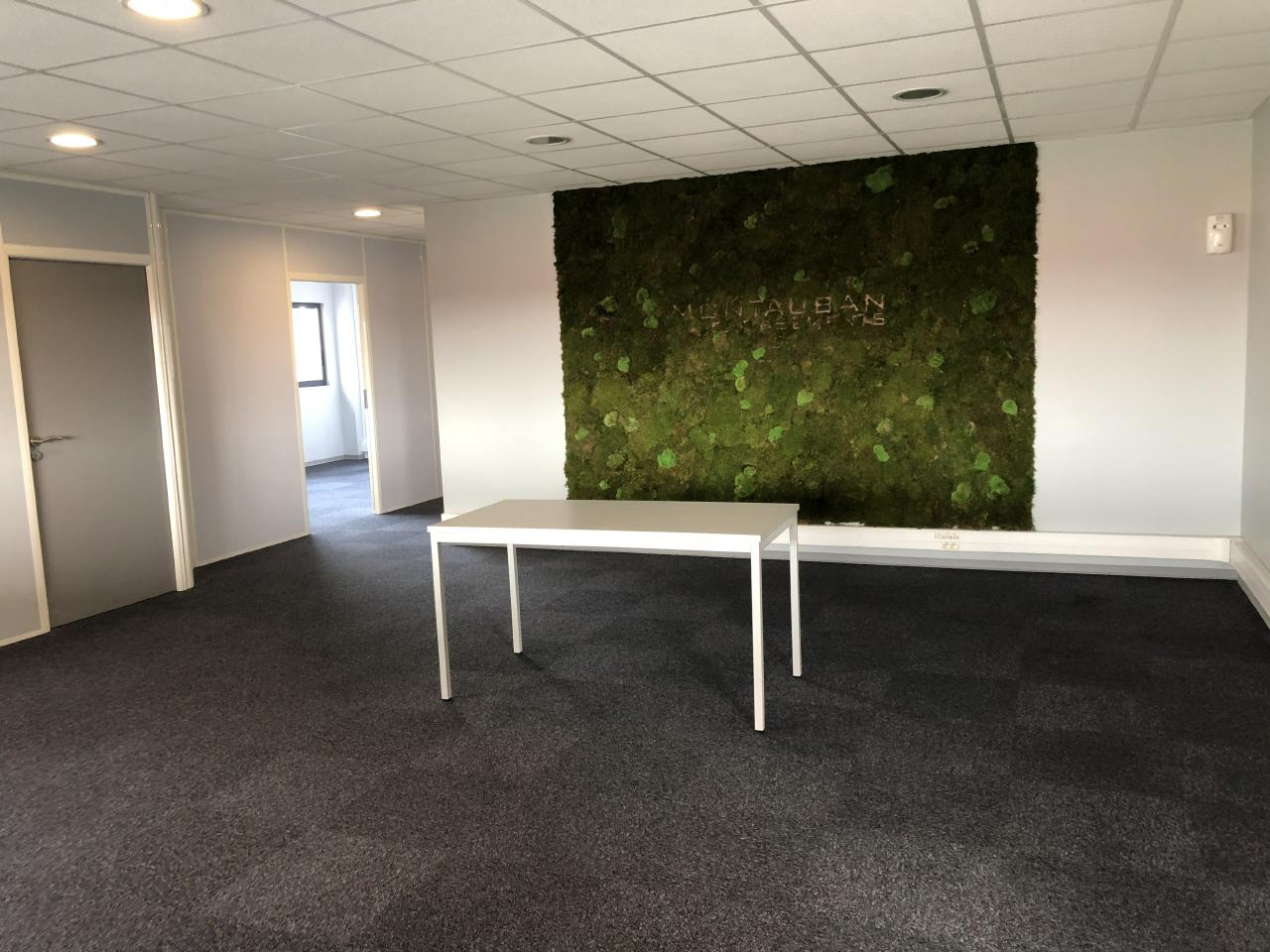 Location bureau Castelnau-d'Estrétefonds Haute-Garonne OLBUR2108484 6