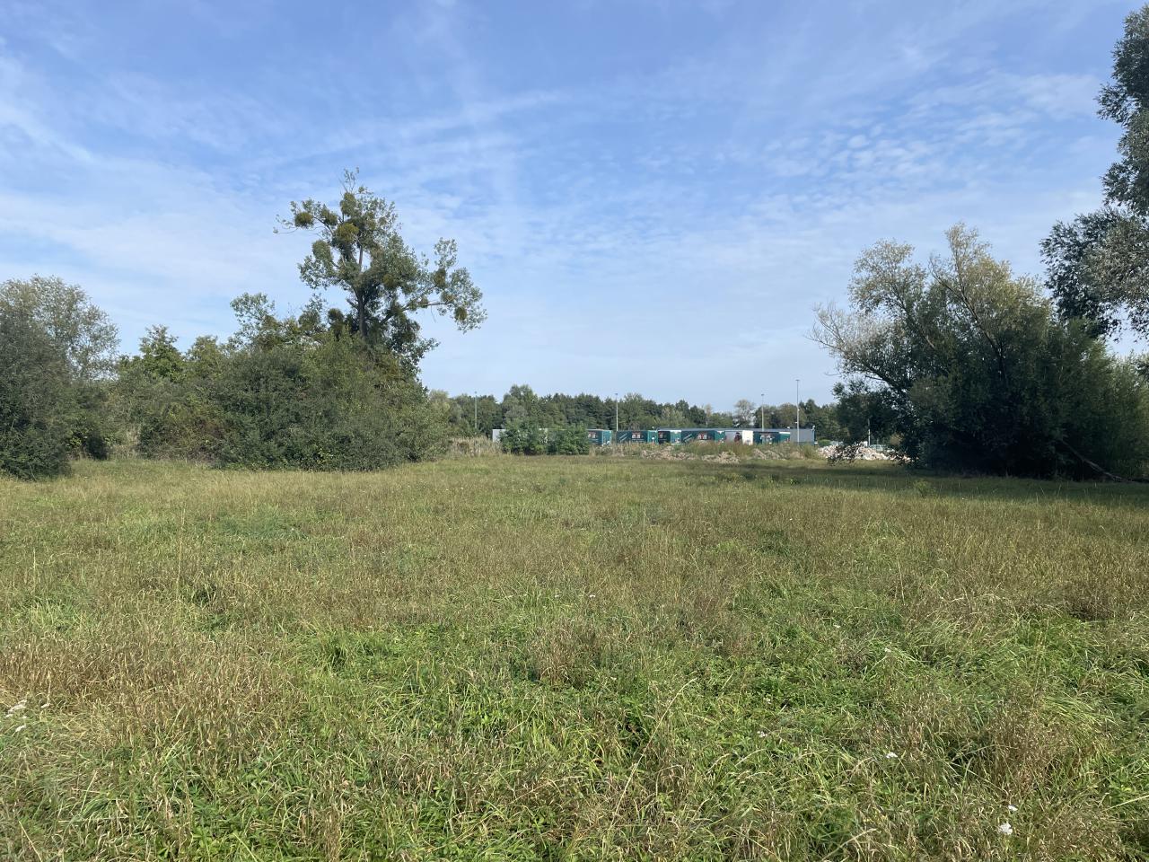 Vente terrain Dettwiller Bas-Rhin OVACT2315926