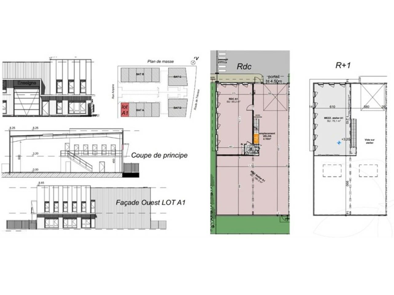 Location local d'activité Genay Rhône OLACT2314251 21