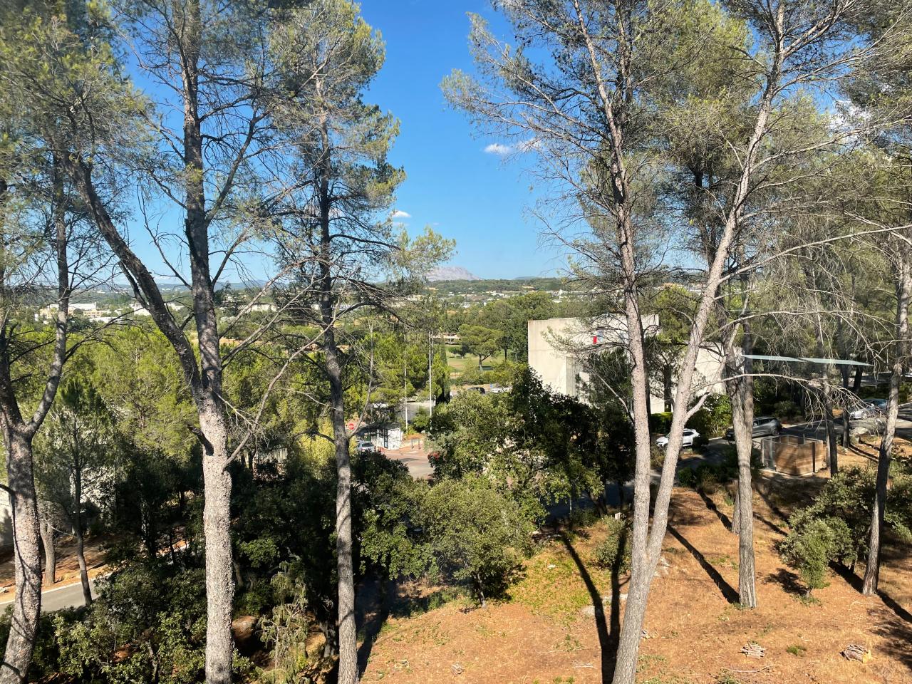 Location bureau Aix-en-Provence Bouches-du-Rhône OLBUR2115148 14