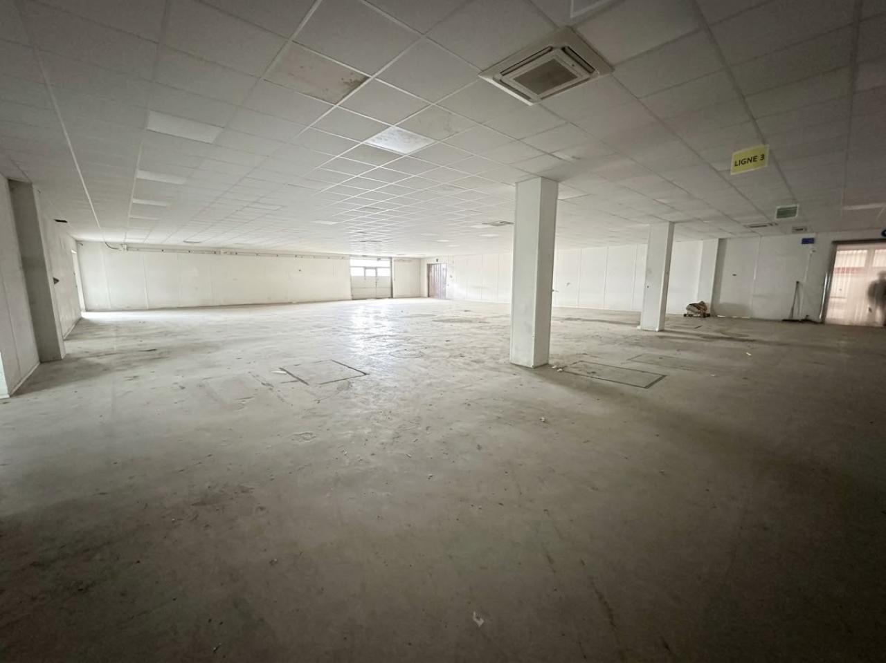 Location local d'activité Saint-Jean-de-la-Ruelle Loiret OLACT2643687 6