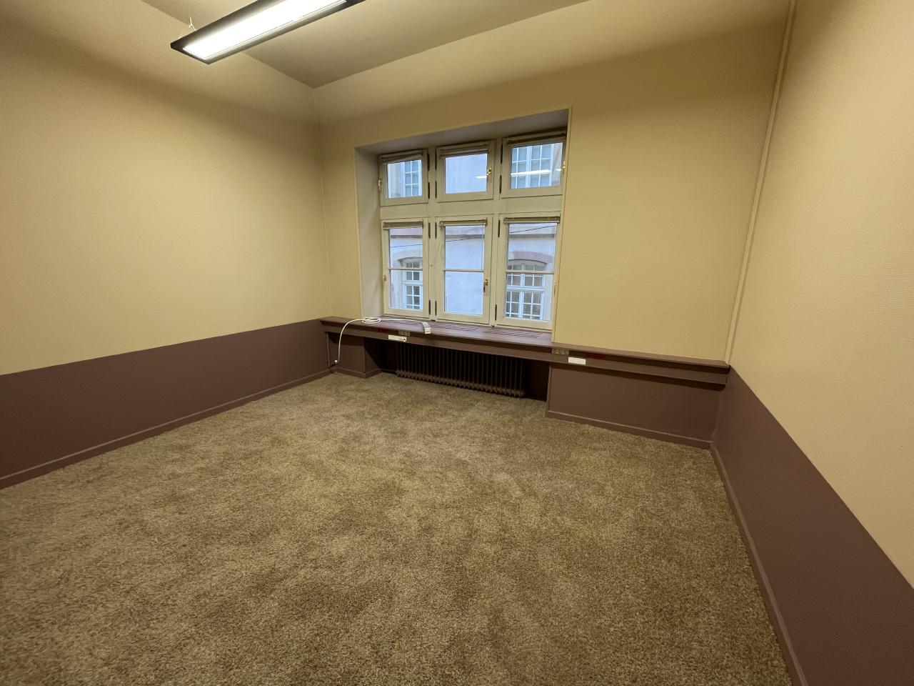 Location coworking Strasbourg Bas-Rhin OLBUR2419367 14