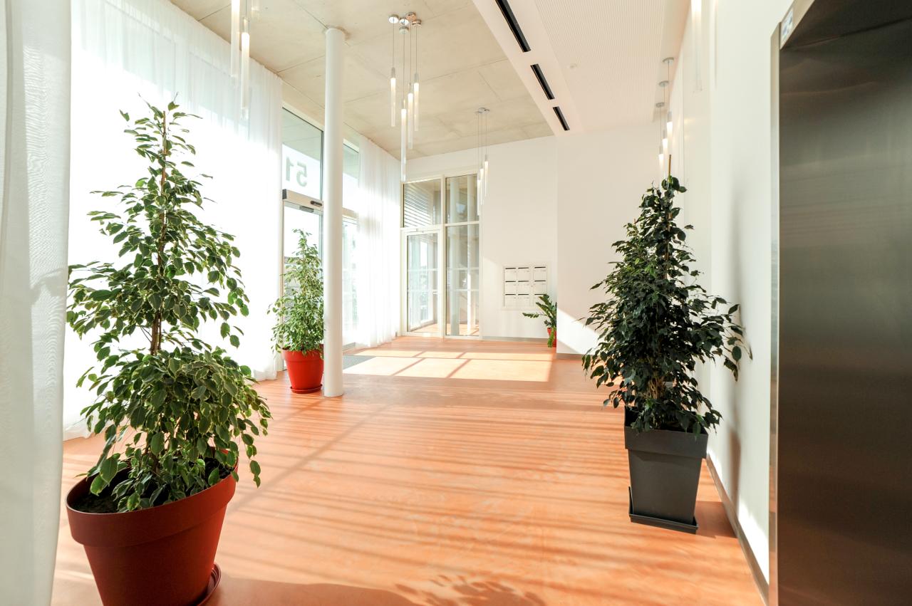 Location bureau Nice Alpes-Maritimes OLBUR2424565 2