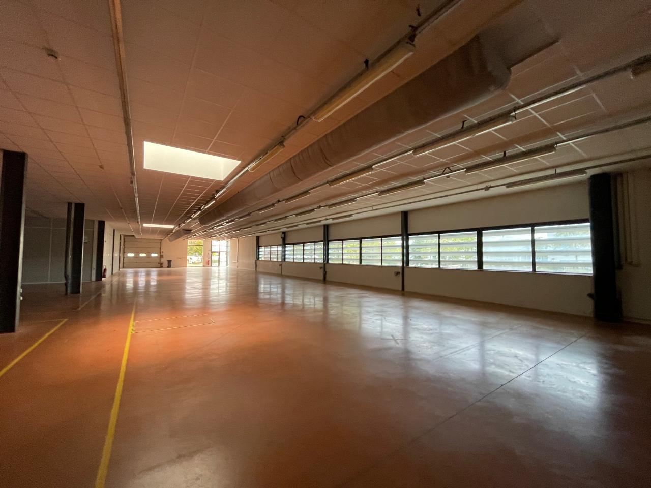 Location local d'activité Colomiers Haute-Garonne OLACT2314340 14