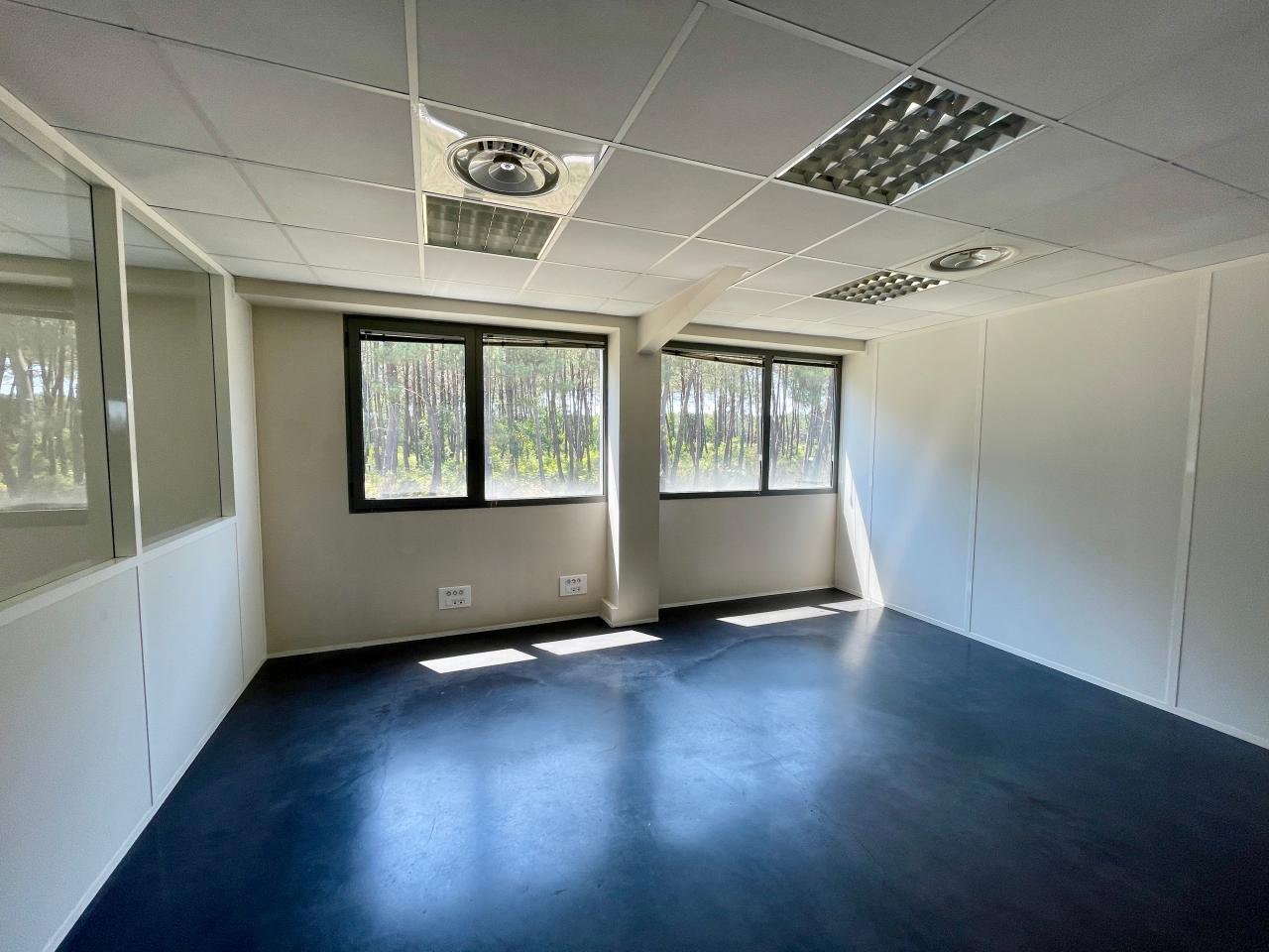 Location local d'activité Canéjan Gironde OLACT2643266 7