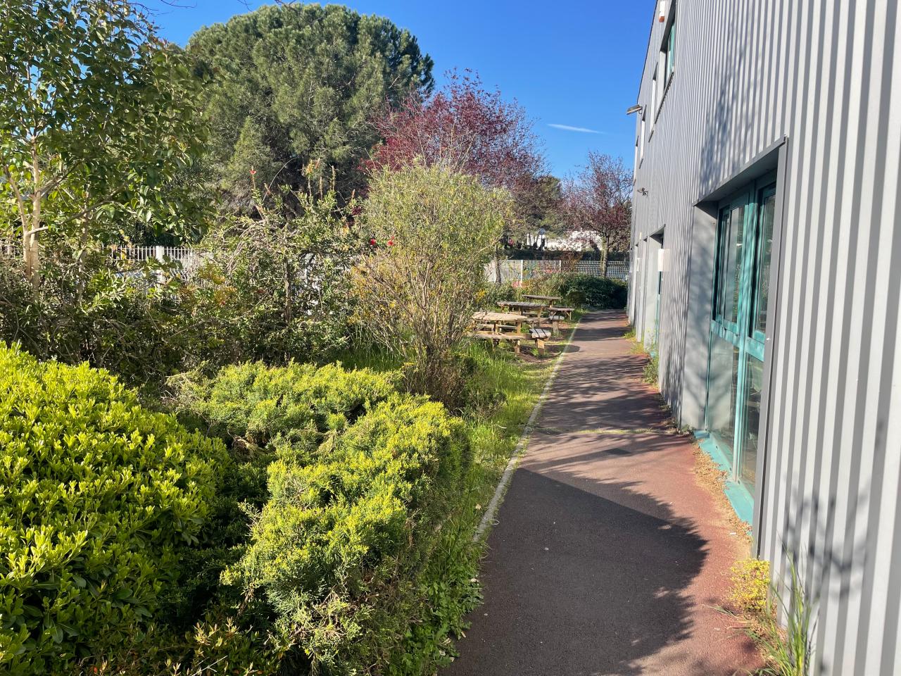Location bureau Saint-Jean-de-Védas Hérault OLBUR2639913 5
