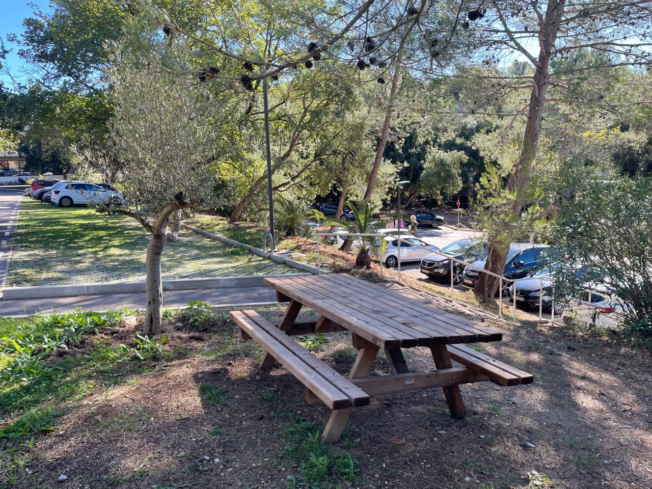 Location bureau Biot Alpes-Maritimes OLBUR2115395 27