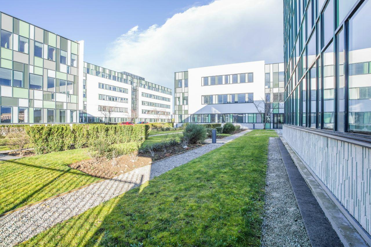 Vente bureau Lyon Rhône OVBUR2109249 5