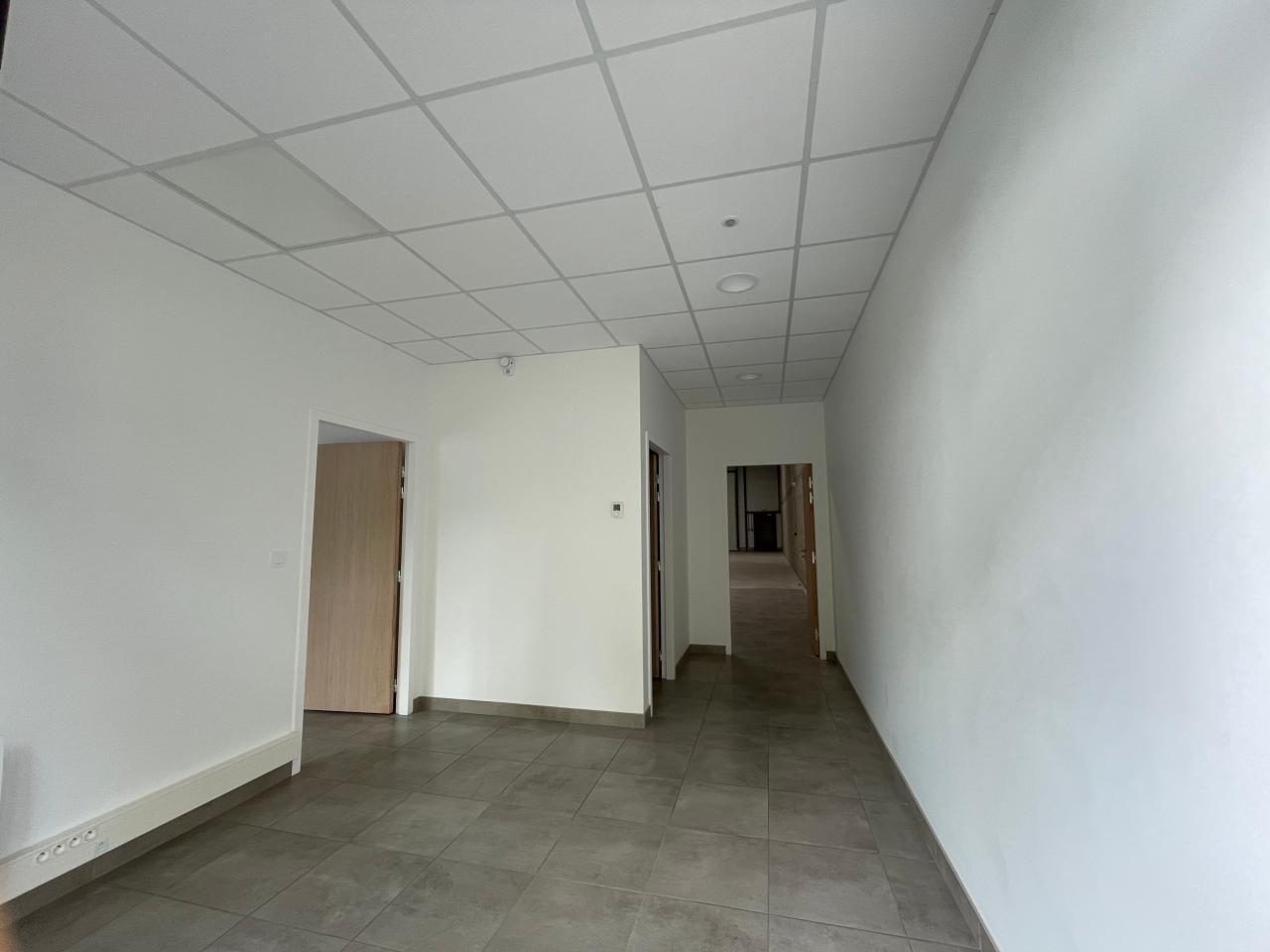 Location local d'activité La Mézière Ille-et-Vilaine OLACT2530572 8