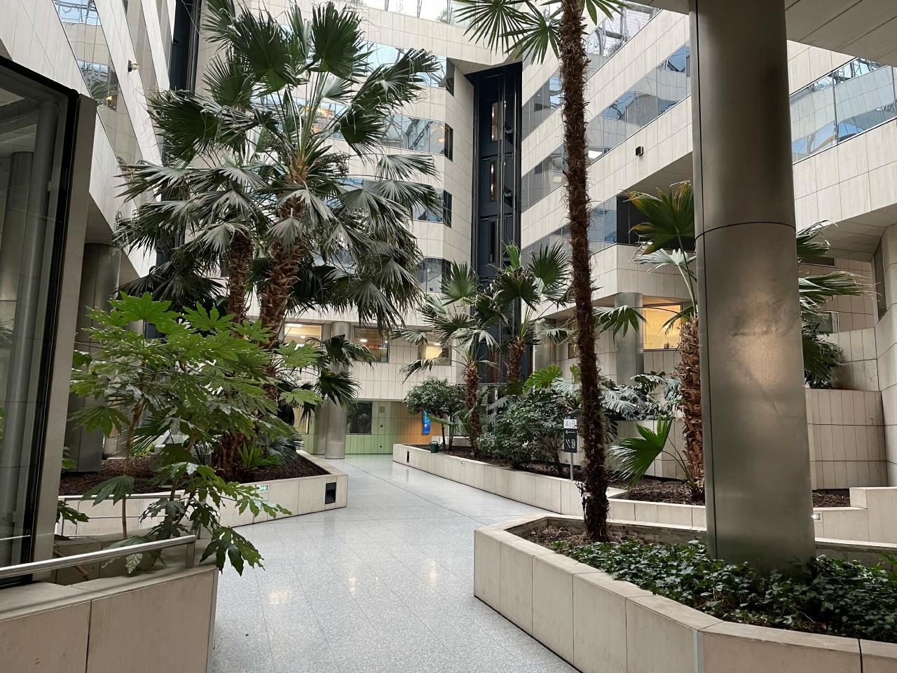 Vente bureau Lyon Rhône OVBUR2419565 39