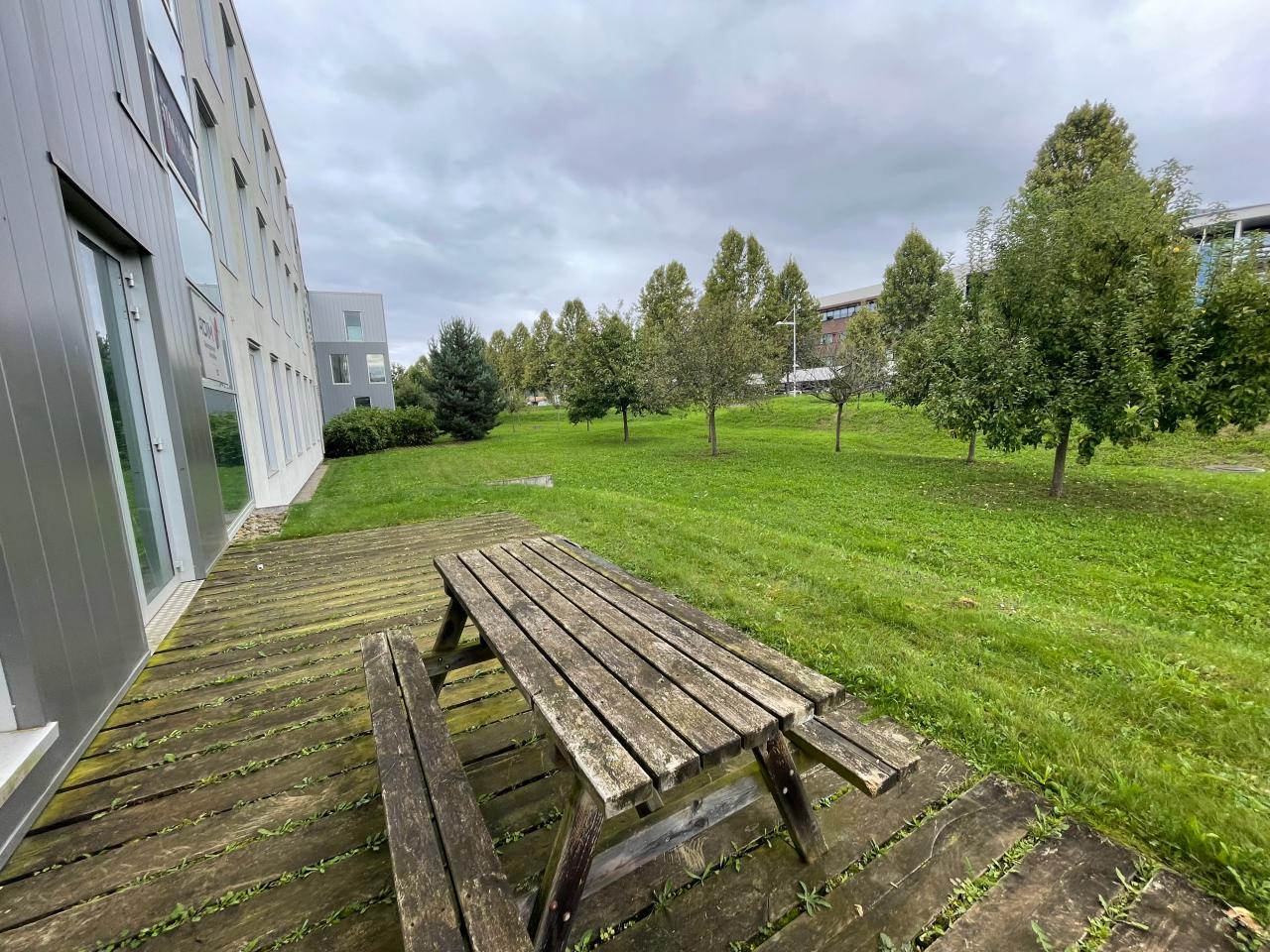 Location bureau Schiltigheim Bas-Rhin OLBUR2110821 20