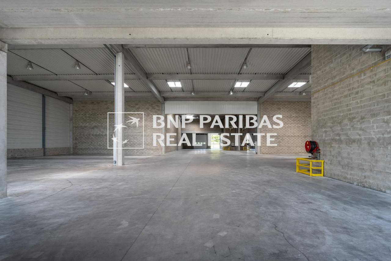 Location local d'activité Élancourt Yvelines OLACT2318123 9