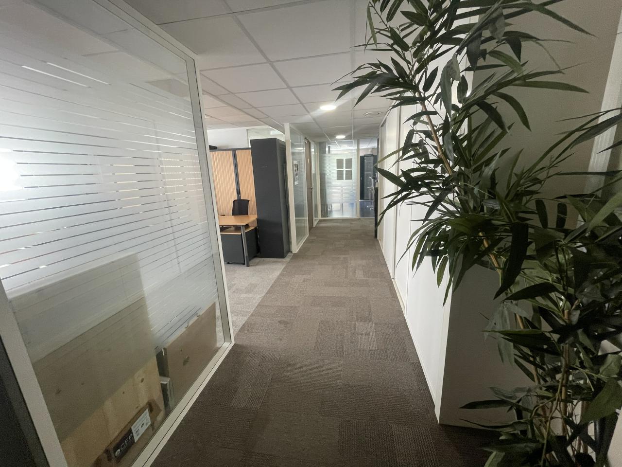 Location bureau Montpellier Hérault OLBUR2318577 13