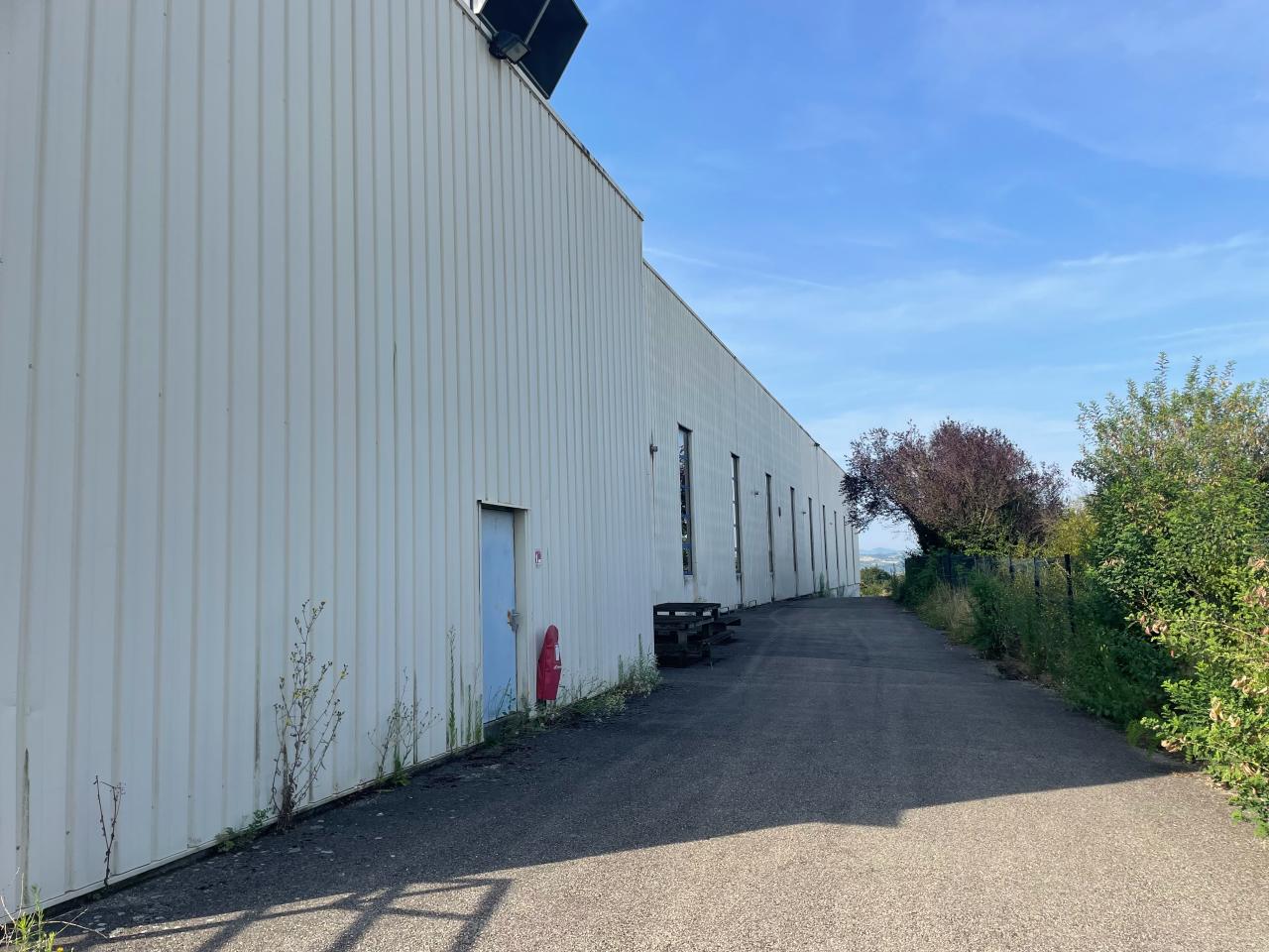 Vente local d'activité Jassans-Riottier Ain OVACT2425581 12