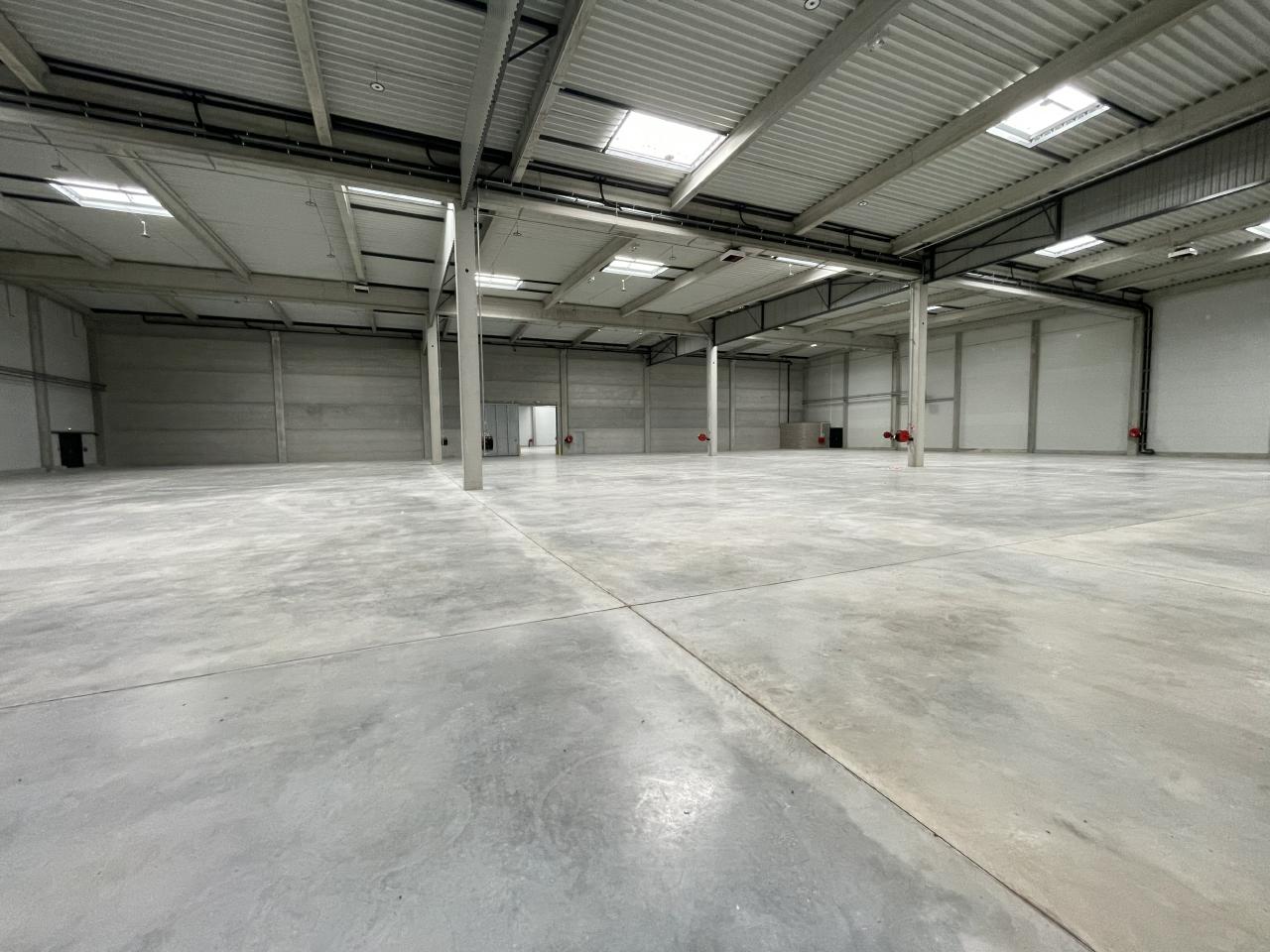 Location entrepôt classe b Monswiller Bas-Rhin OLLOG2422157 5