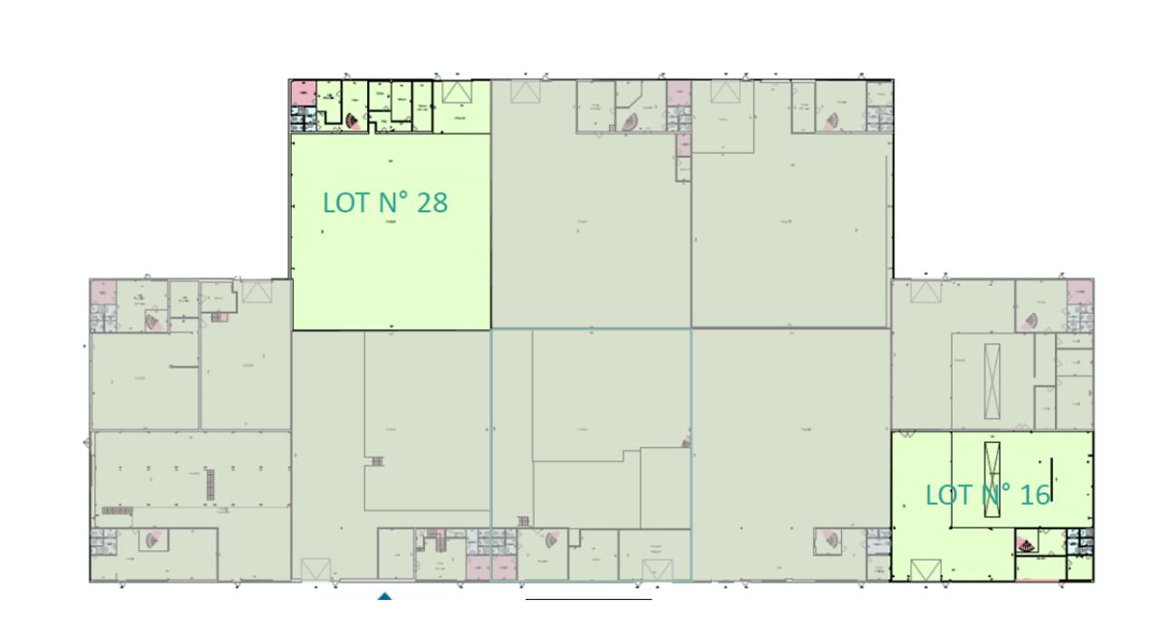 Location local d'activité Massy Essonne OLACT2424456 8