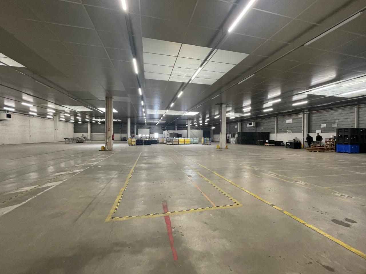 Location local d'activité Rennes Ille-et-Vilaine OLACT2532173 4