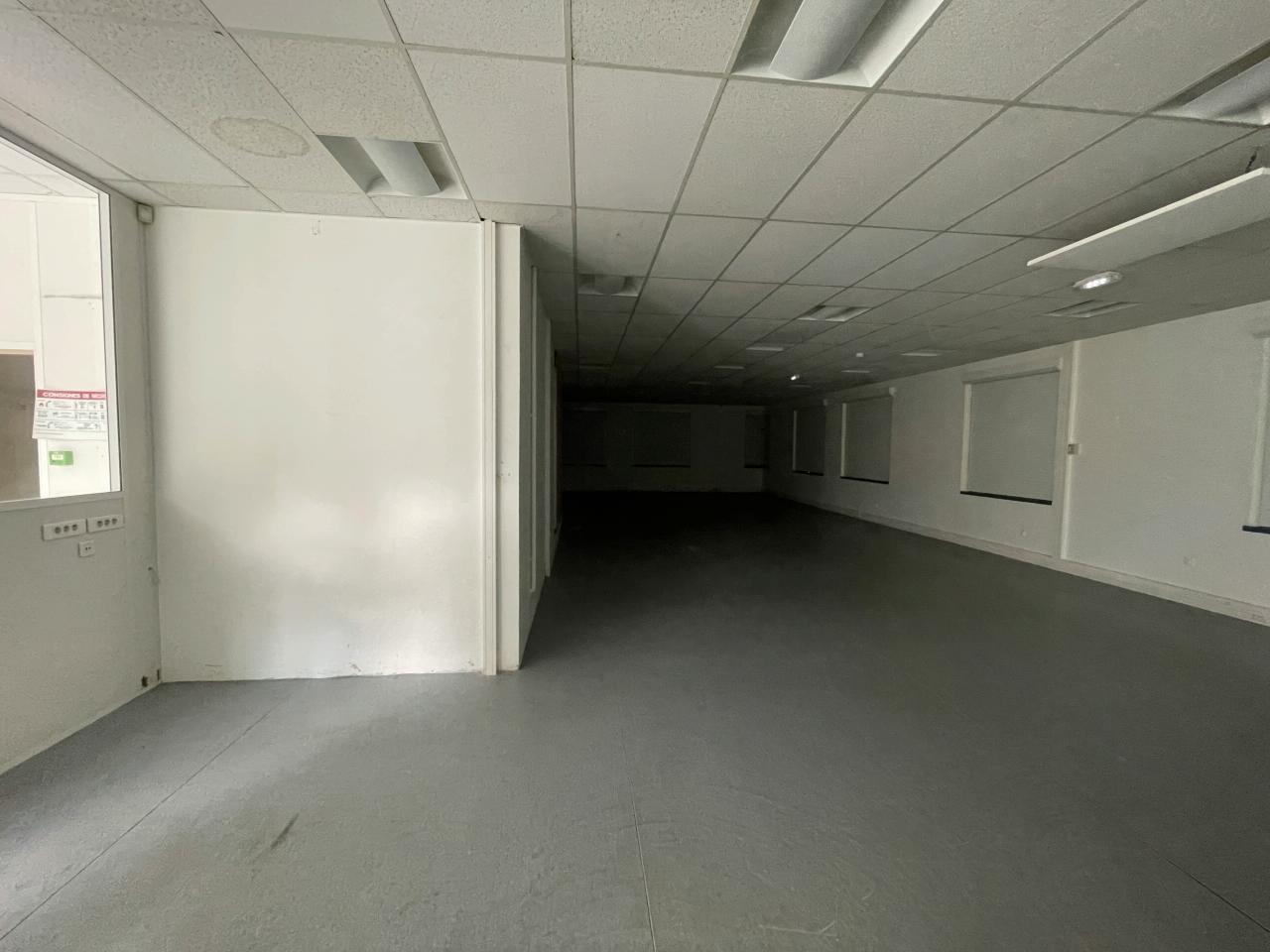 Location local d'activité Montigny-le-Bretonneux Yvelines OLACT2424832 7