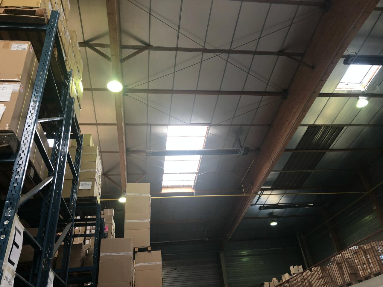 Location local d'activité Saint-André-de-Corcy Ain OLACT2528965 10