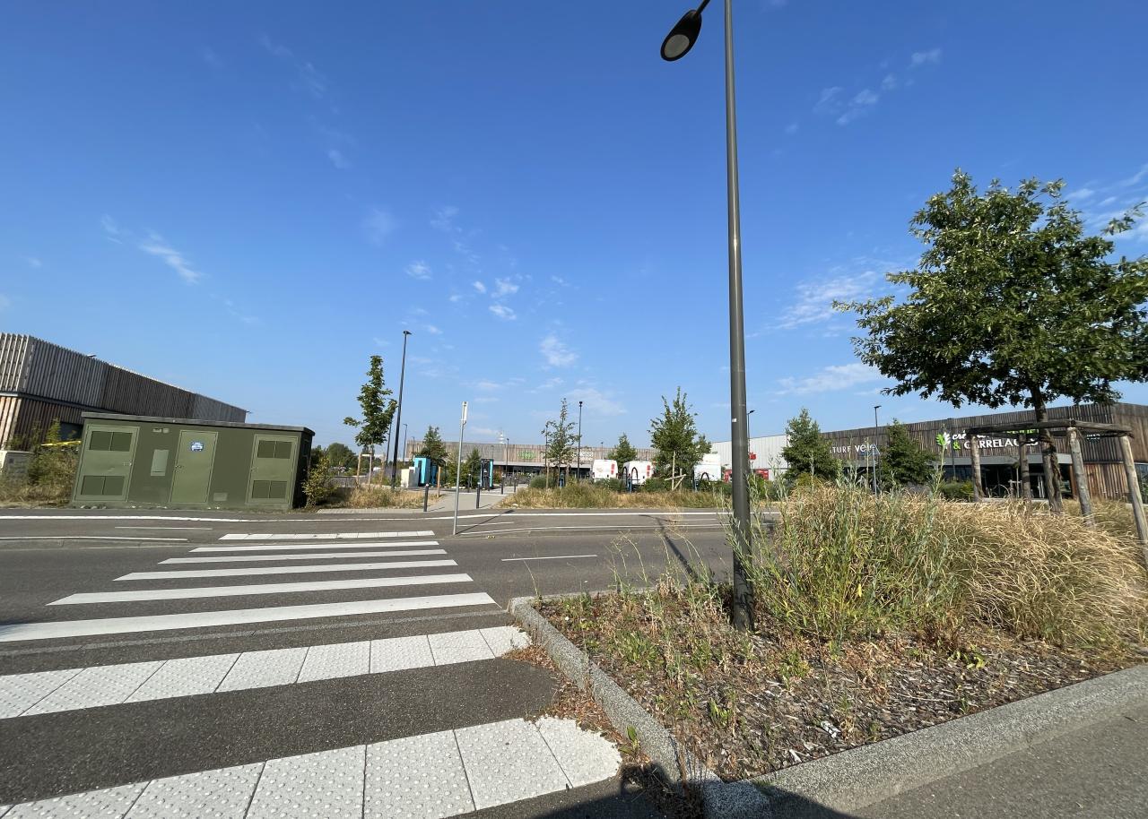 Location local d'activité Mundolsheim Bas-Rhin OLACT2534017 11