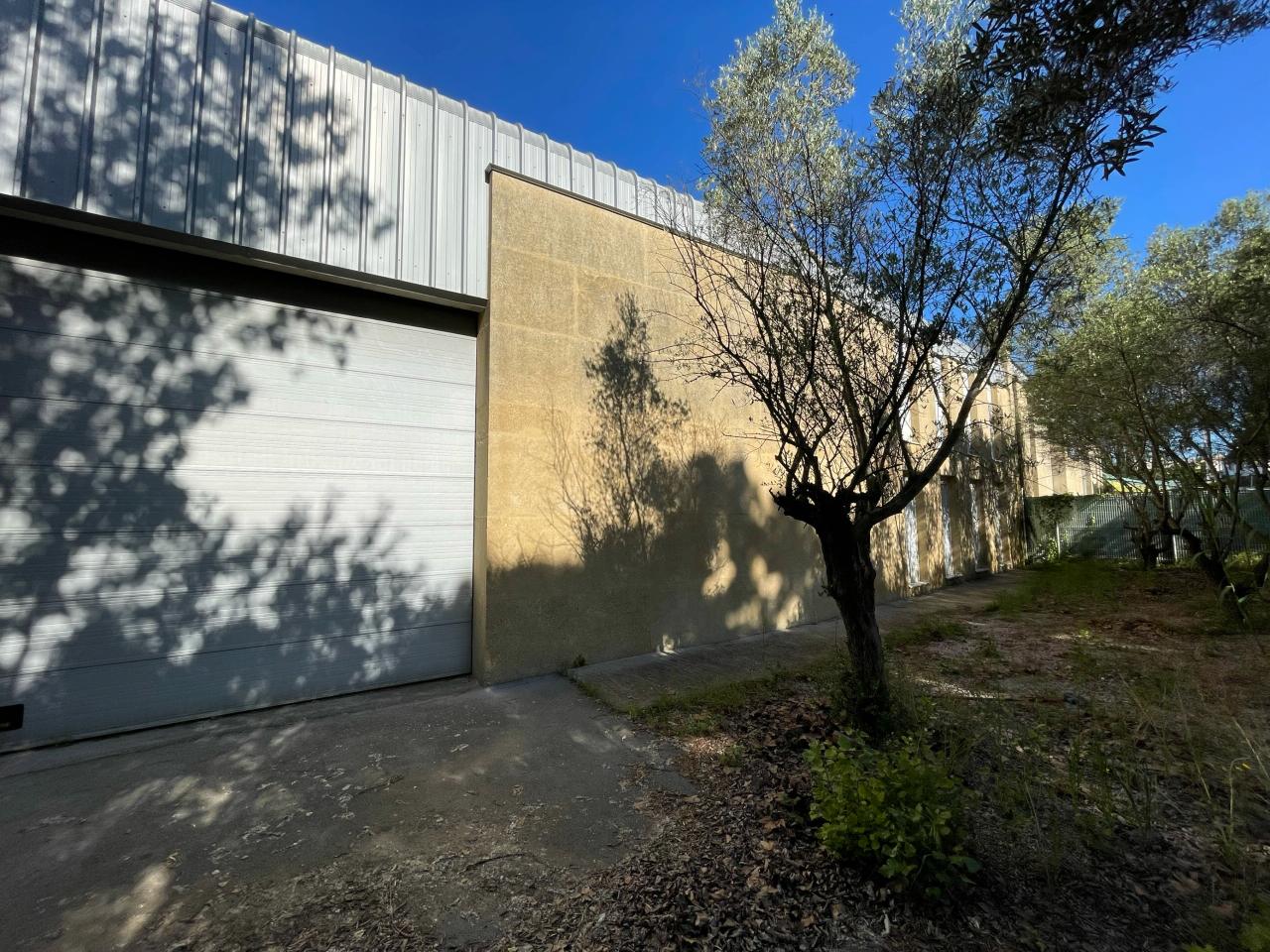 Vente local d'activité Montpellier Hérault OVACT2532440 8