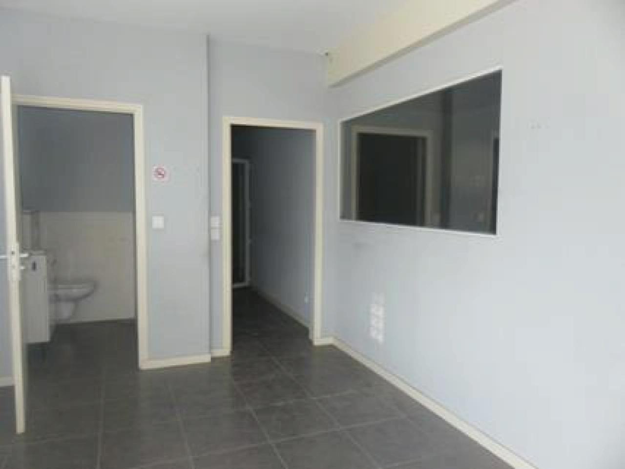 Location local d'activité Fleurieu-sur-Saône Rhône OLACT2120189 3