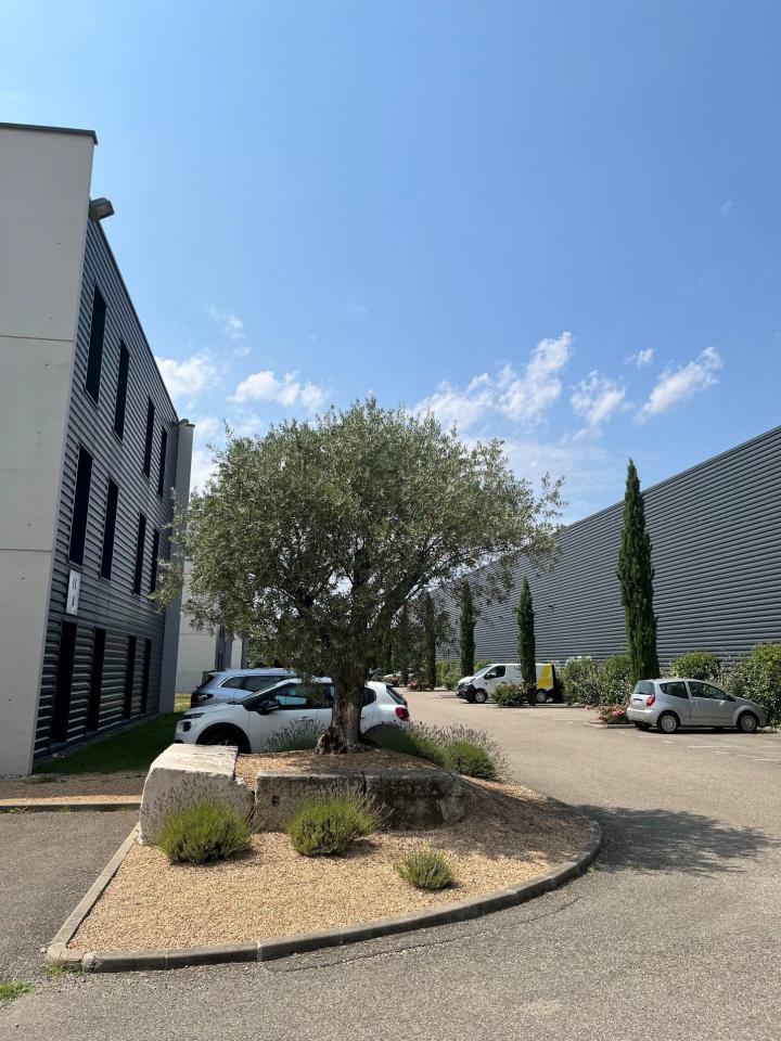 Location bureau Saint-Priest Rhône OLBUR2109029 13