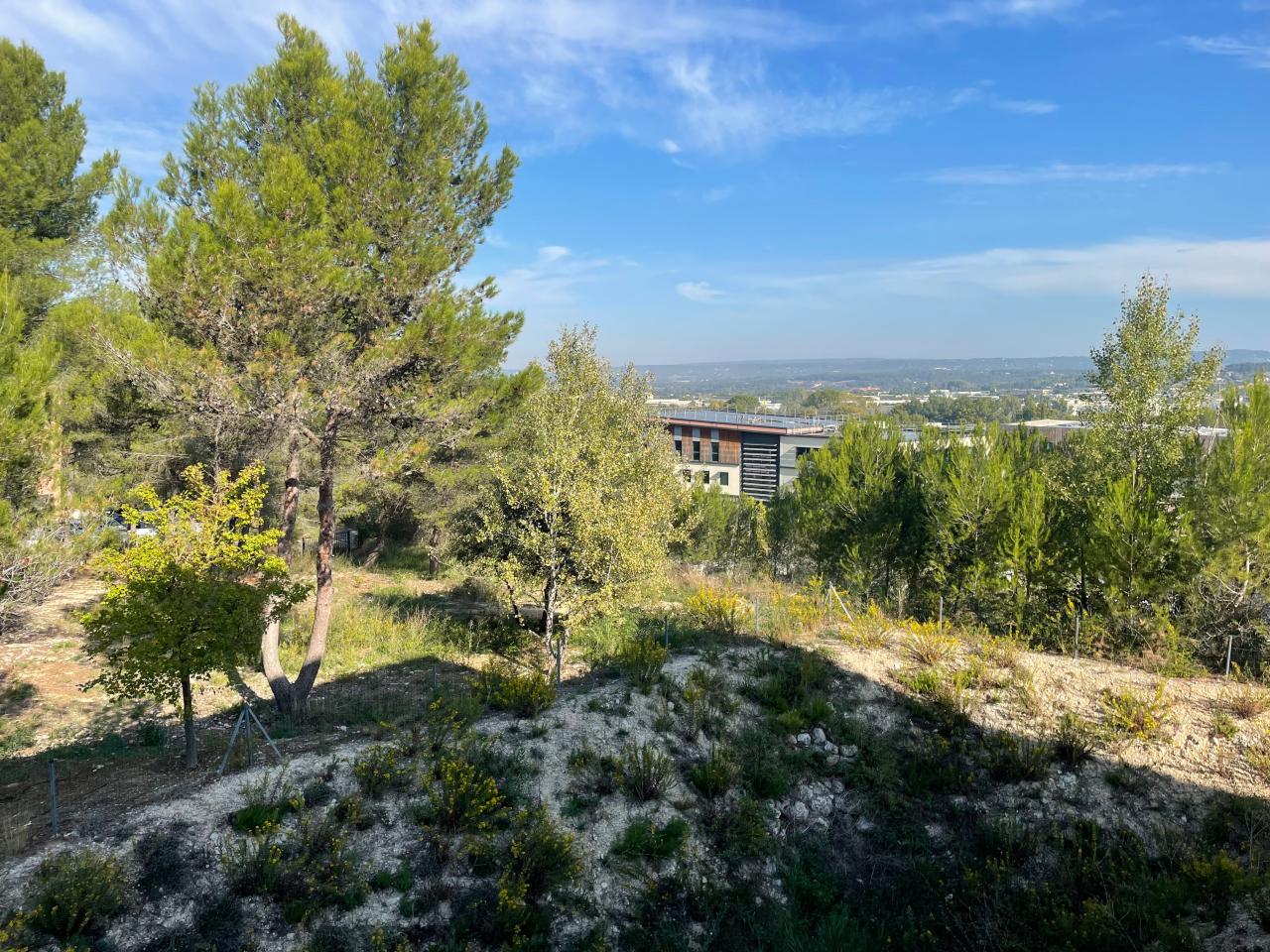 Location bureau Aix-en-Provence Bouches-du-Rhône OLBUR2535891 8